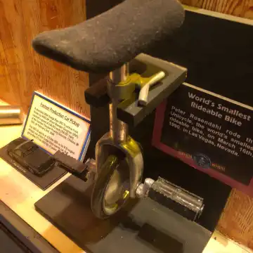 鄰近金氏世界記錄博物館的酒店