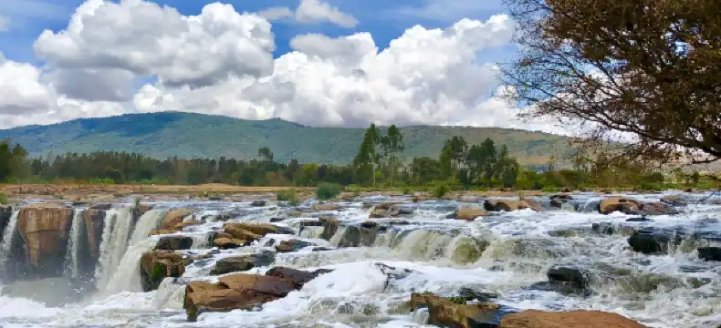 Thika