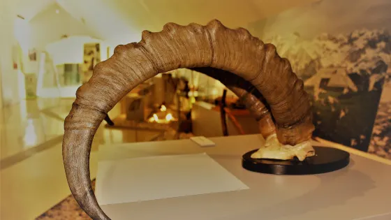 Slovenian Alpine Museum