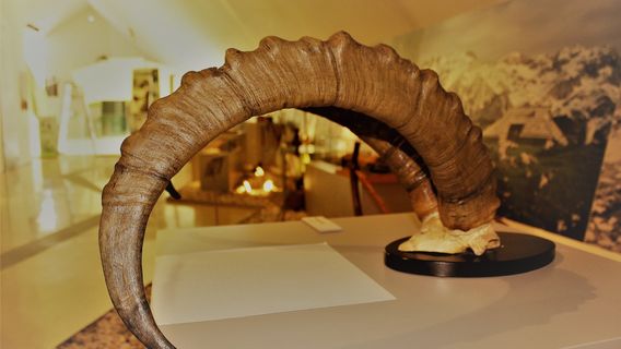 Slovenian Alpine Museum