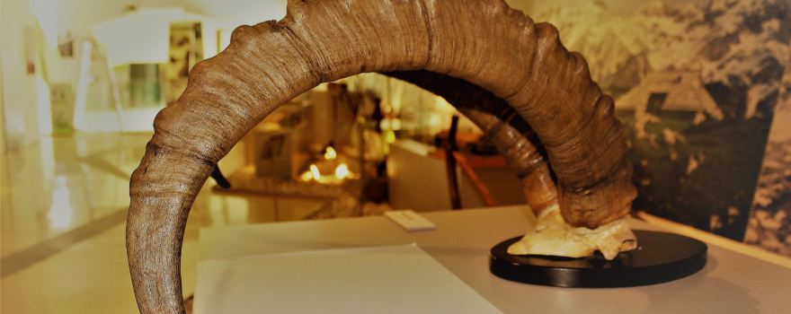 Slovenian Alpine Museum