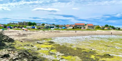 Lindisfarne National Nature Reserve