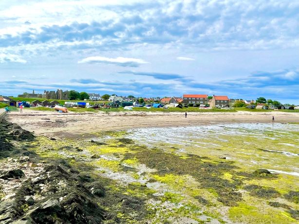 Lindisfarne National Nature Reserve