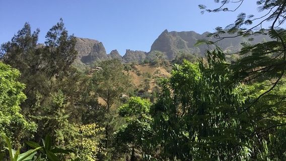 Jardin Botanique de Sao Jorge