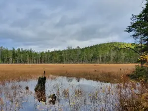 Björnlandets nationalpark
