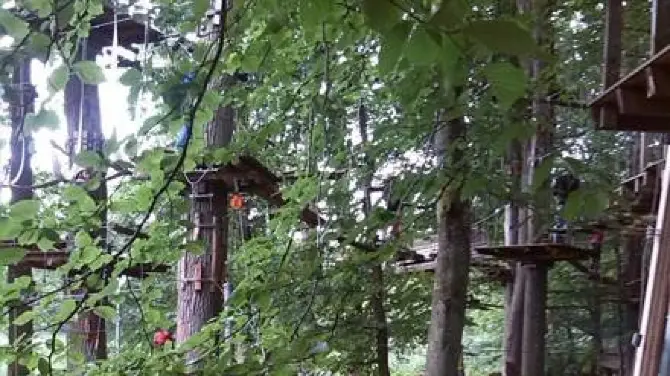 3_Fun Forest AbenteuerPark Homburg