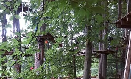 3_Fun Forest AbenteuerPark Homburg