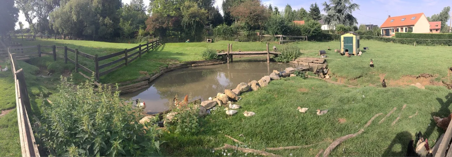 2_La Colline Aux Animaux