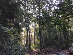 Phiphidi Waterfalls