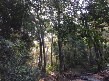 Thohoyandou