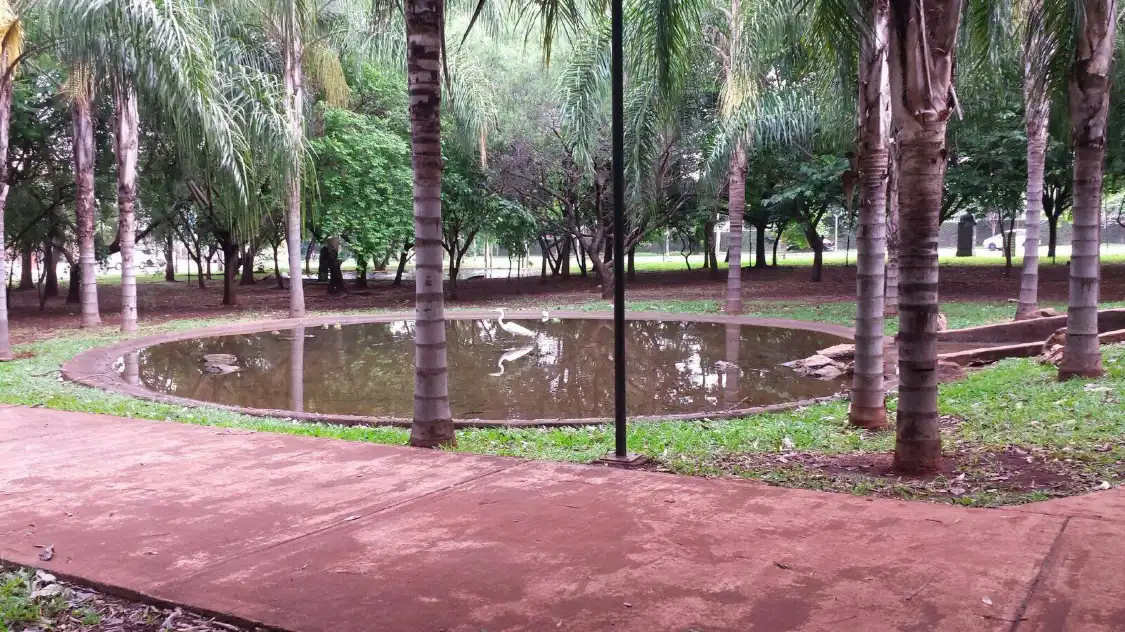 Hotels near Praça Omilton Visconde