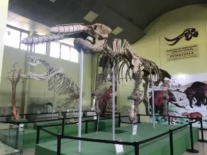 Museo de Paleontologia y Arqueologia de Estanzuela