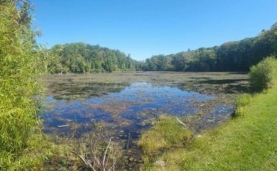 Jenny Jump State Forest