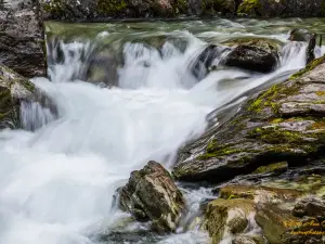 Liberty Falls State Recreation Site