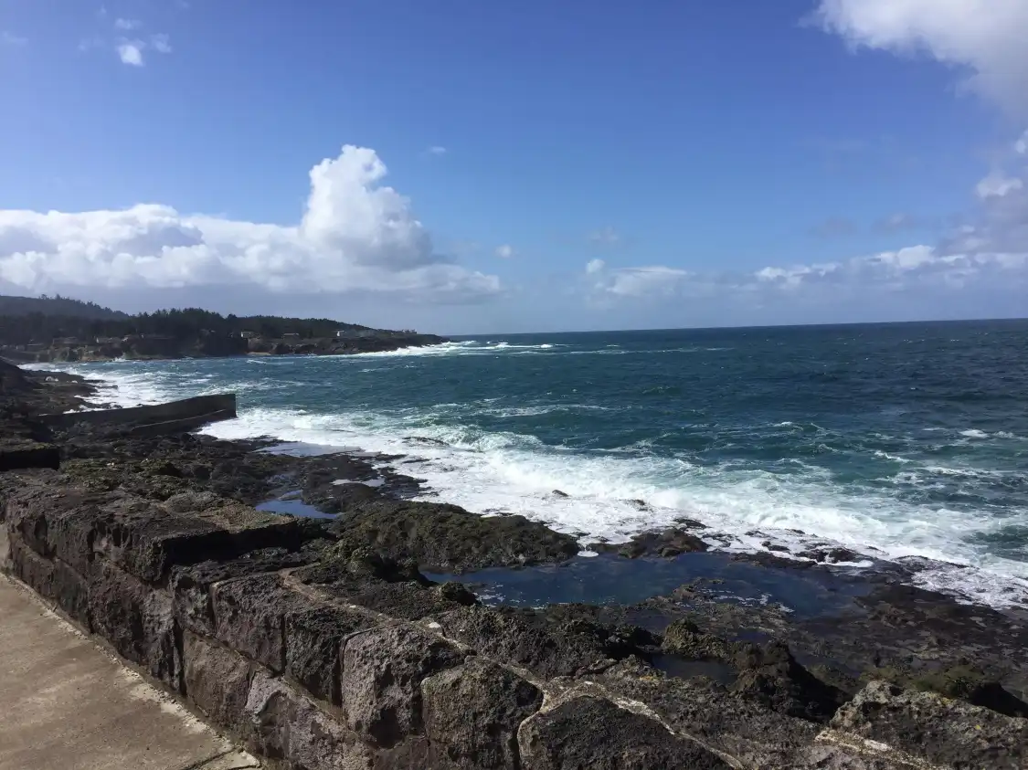 Hotels in der Nähe von Whale Park