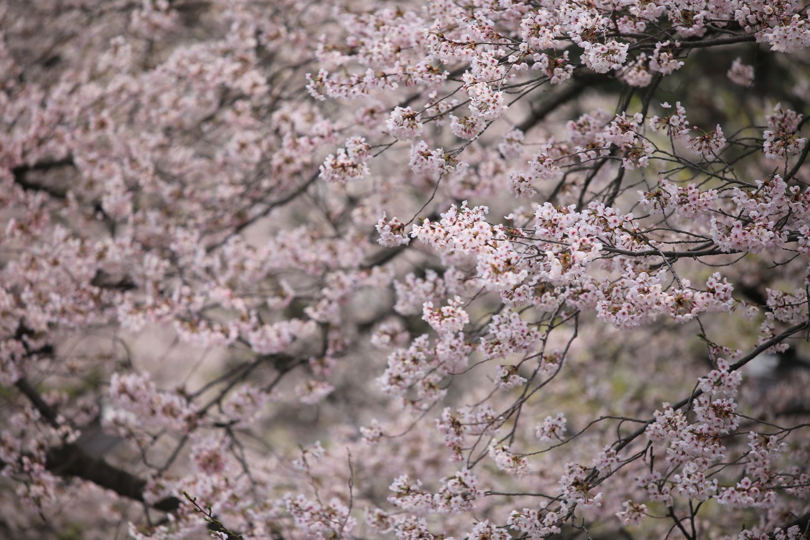 Jehwangsan Park