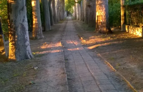 西蓋特莫諾什託爾