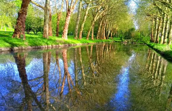 聖·奎恩·拉奧莫內