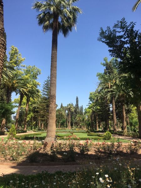 Ouarzazate to Oujda Flights