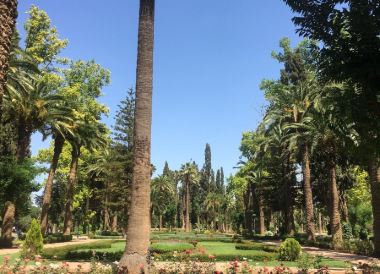 Oujda
