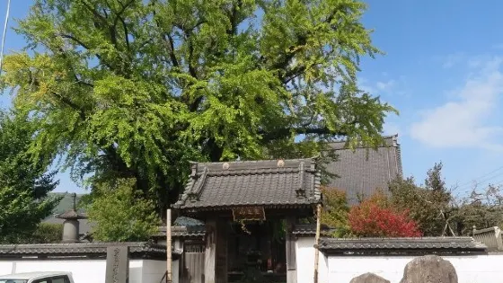 明行寺