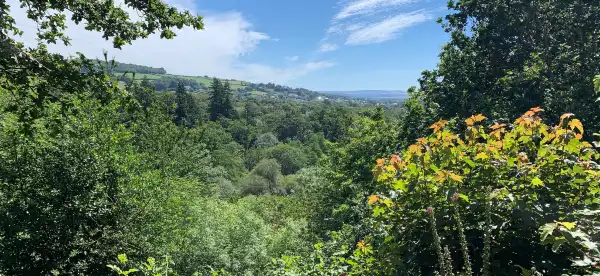 Hotels in Bovey Tracey