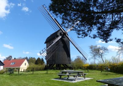 Vaeggerlose