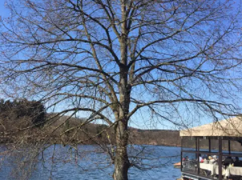 Skigebiet Olpe-Fahlenscheid