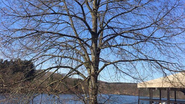 Skigebiet Olpe-Fahlenscheid