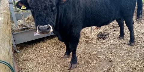 Wild – und Wanderpark