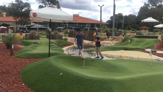 Vines Mini Golf