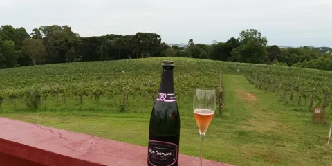 Terrabela Enoturismo