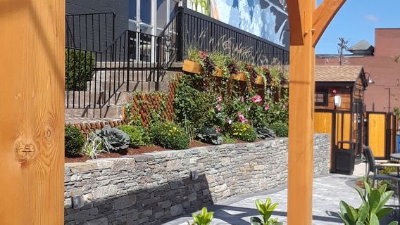 Urban Lodge Brewing Co.