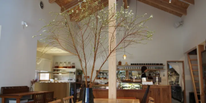 Ryouritohyouka cacafuka