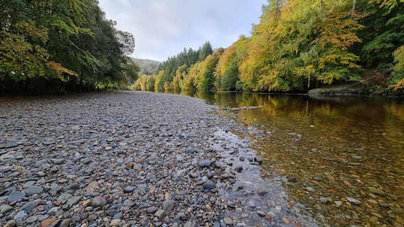 Faskally Woods Holiday Park