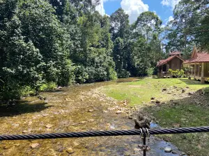 Lata Tembakah
