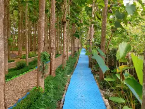 Wisata Kebun Jati Gelebug Chandra