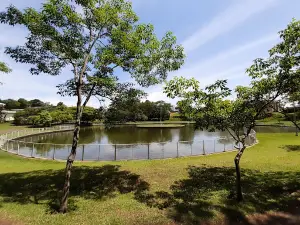 Lago Municipal