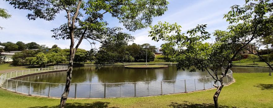 Lago Municipal