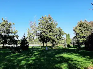 The City Park. Marshal Jozef Pilsudski