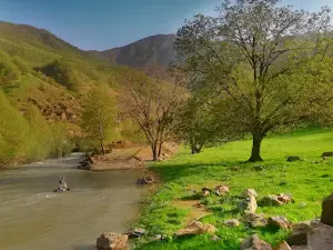 Çeman Aile Piknik Alanı