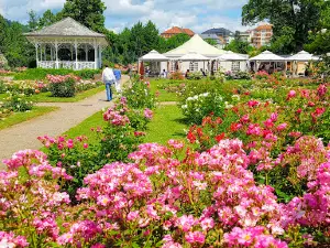 La Roseraie de Saverne