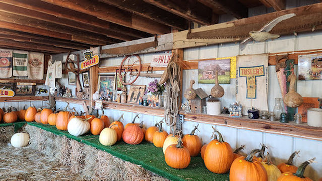 Silver Spring Pumpkin Farm
