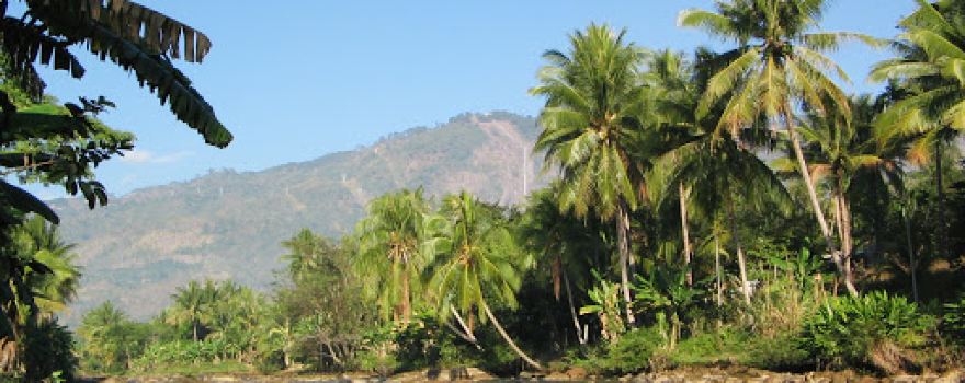 Sông Pha