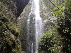 Galeras Nature Sanctuary
