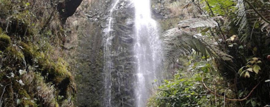 Galeras Nature Sanctuary