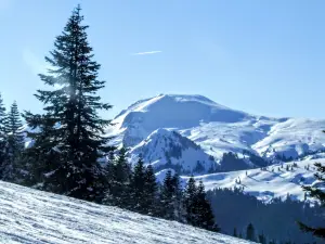 Türkiye Kayak Federasyonu Ilgaz Dağ Tesisleri