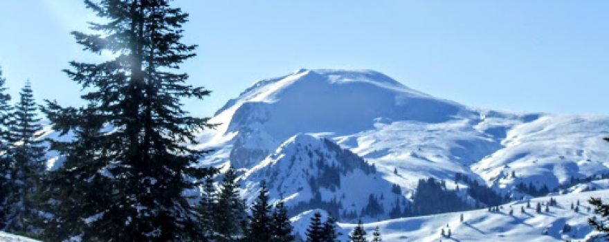 Türkiye Kayak Federasyonu Ilgaz Dağ Tesisleri