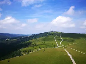 Feldberg Turm