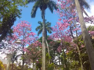 Francisco de Paula Santander Park